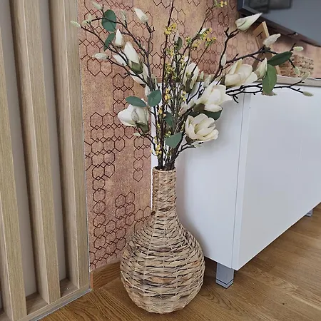 Beli Dvor & Wellness *