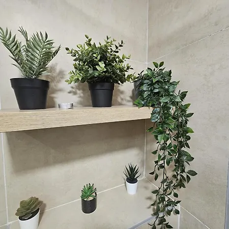 Beli Dvor & Wellness * Zlatibor