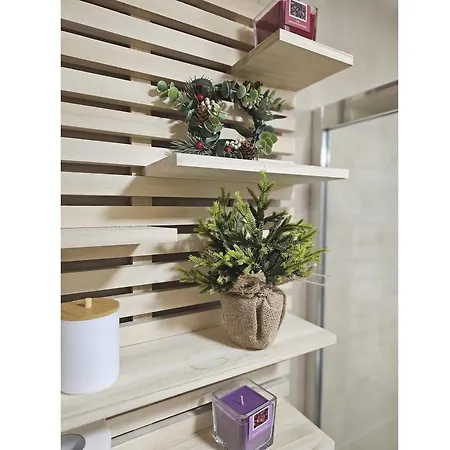 Apartment Beli Dvor & Wellness *