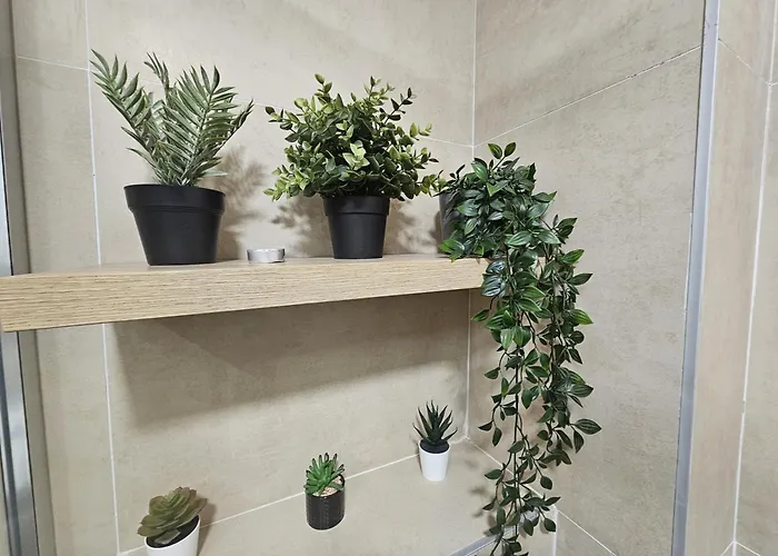 Beli Dvor & Wellness * ズラティボール