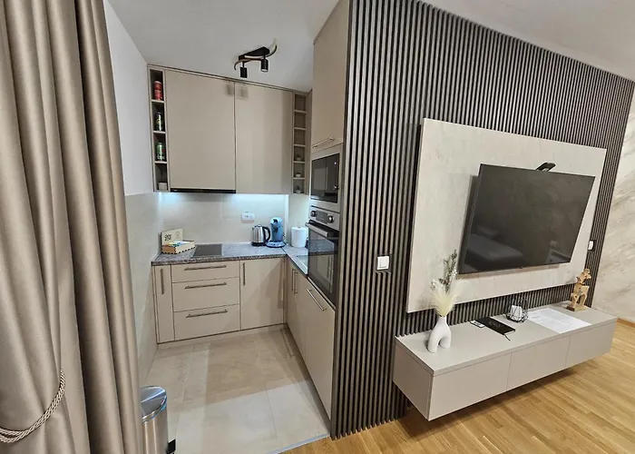 アパート Beli Dvor & Wellness ズラティボール